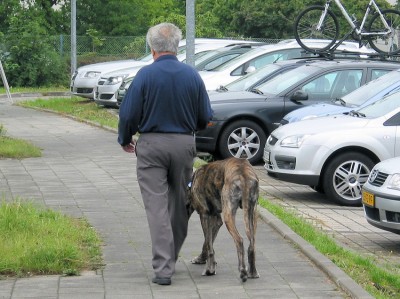 Mit Kalb ins Stadion ... was es nicht alles gibt!
